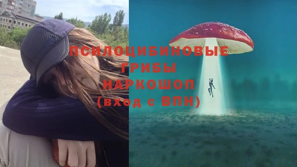 прущие крисы Гусиноозёрск
