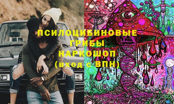 соль ск Гусь-Хрустальный