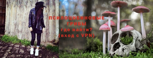 прущие крисы Гусиноозёрск