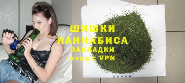 соль ск Гусь-Хрустальный