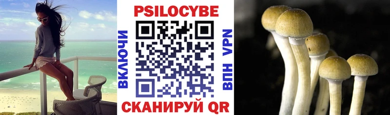 Купить  Кашира  Псилоцибиновые грибы мухоморы 